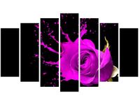 product-compare-58693795