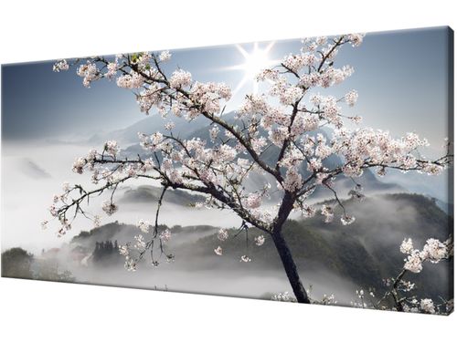 Obraz drukowany płótno 115x55cm Modne DUŻO WZORÓW na Arena.pl