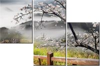 product-compare-58699737