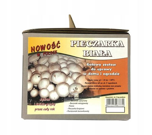 Grzybnia PIECZARKA BIAŁA 5kg grzybnia do UPRAWY na Arena.pl