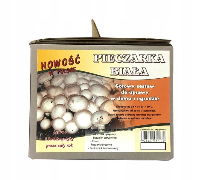 Grzybnia PIECZARKA BIAŁA 5kg grzybnia do UPRAWY zdjęcie 2