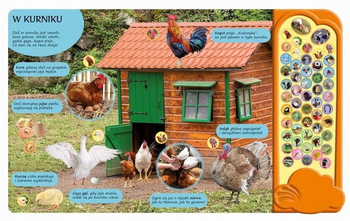 50 DŹWIĘKÓW NA WSI - ELŻBIETA KOROLKIEWICZ zdjęcie 2