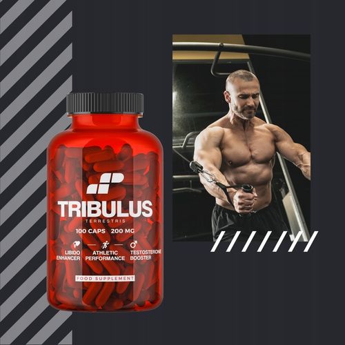 TRIBULUS TESTOSTERON TERRESTRIS BUZDYGANEK TESTO LIBIDO 100 MUSCLE POWER na Arena.pl