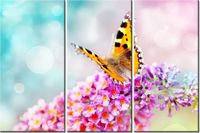 60 90CM OBRAZ 3 ELEM MOTYL KWIATKACH DRUK PŁÓTNO RAMA