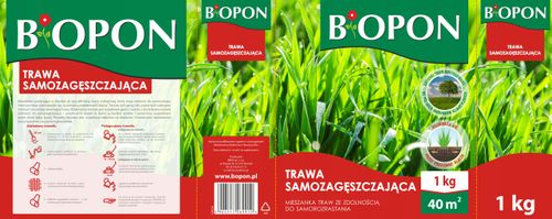 BOPON - Trawa Samozagęszczająca 40 m² - 1 kg na Arena.pl