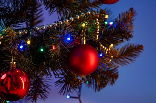 Choinka Świerk Nordycki 180cm na Arena.pl