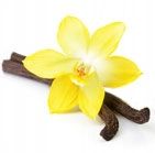 Hi TEC DIAMOND LINE MASTER MASS 3000g GAINER MASA na Arena.pl