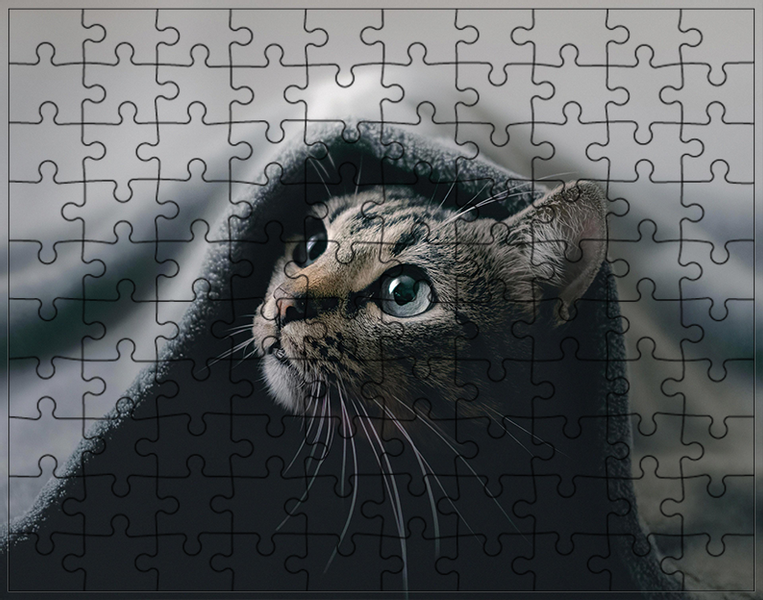 Puzzle Koty zdjęcie 1
