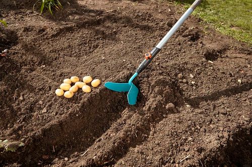 OBSYPNIK 16CM-CS - HG-03118-20 na Arena.pl