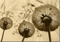 60CM 50CM OBRAZ ŚCIENNY DMUCHAWCE KREMOWYM TLE DRUK PŁÓTNO