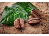 60X40CM ZIARNA KAWY DESCE OBRAZ