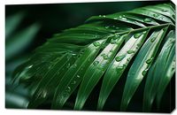 product-compare-59468071