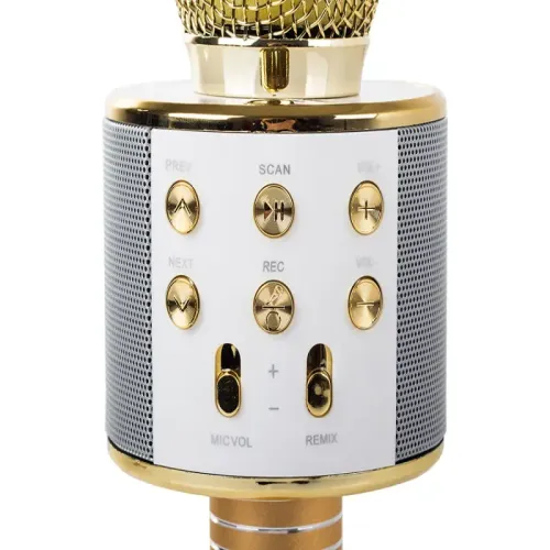 Mikrofon bezprzewodowy bluetooth głośnik karaoke modulator głosu na Arena.pl