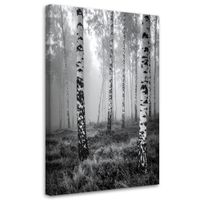 Obraz do salonu sypialni kuchni biura loftu, Las brzozowy czarno