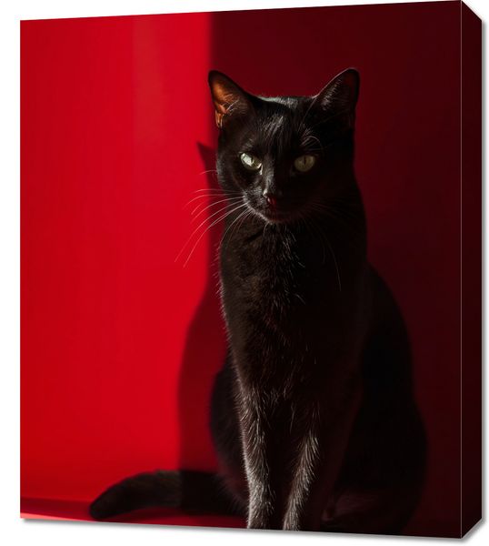 Obraz 60x70cm Elegancja w Cieniu zdjęcie 1
