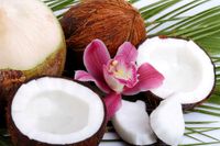 FOTOTAPETA kuchenna KOKOS PALMA KWIATEK TROPIKALNE