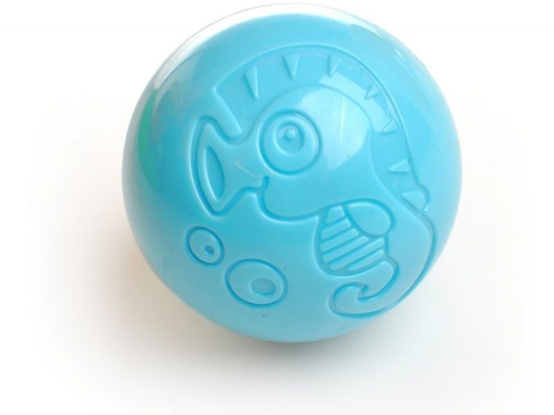 Edukacyjny Chodzik Pchacz zdjęcie 4