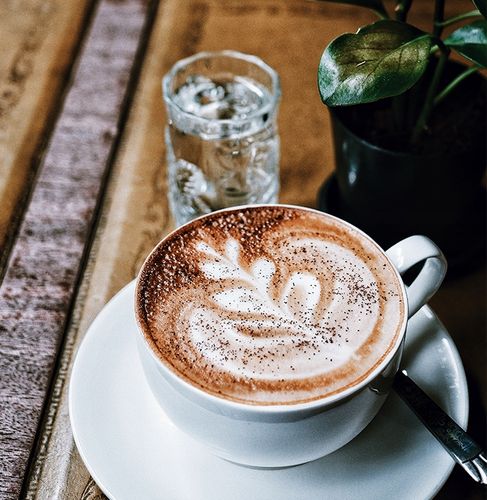 Odkamieniacz w płynie do ekspresu Nivona 500ml na Arena.pl