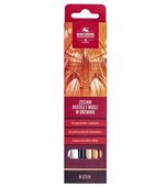gioconda pastele suche i węgle +rozcieracz 6szt