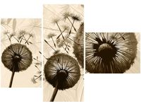 100CM 80 OBRAZ 3 ELEM DMUCHAWCE BEŻU ŚCIENNY