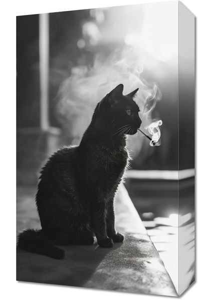 Obraz 30x50cm Kocia Przerwa zdjęcie 1