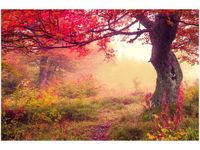 product-compare-58695001