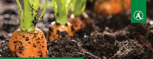 FUSILADE FORTE 150EC 1L CHWASTNICA PERZ MIOTŁA ŚRODEK CHWASTOBÓJCZY CHWASTY na Arena.pl