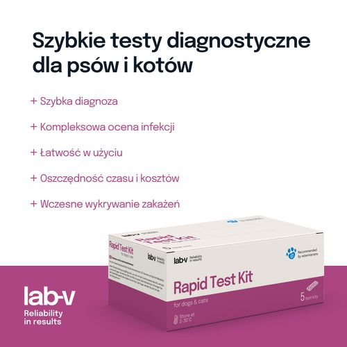 lab-v progesteron szybki test dla psów na Arena.pl