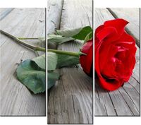 product-compare-58707459