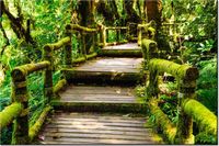 120CM 80CM OBRAZ ŚCIENNY DREWNIANY MOSTEK