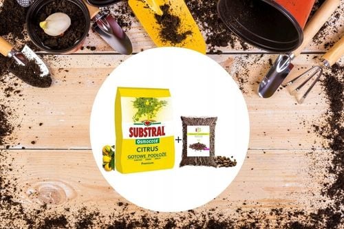 ZIEMIA PODŁOŻE DO CYTRUSÓW OLIWEK CYTRYNY OLEANDRA Z NAWOZEM + na Arena.pl