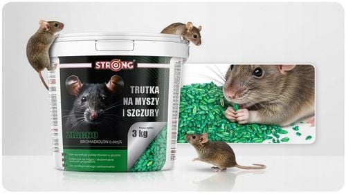ZATRUTE ZIARNO NA MYSZY I SZCZURY TRUTKA ZBOŻOWA STRONG BROMADIOLON 3 na Arena.pl