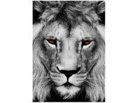 50X70CM LWIE SPOJRZENIE OBRAZ PION ŚCIAN