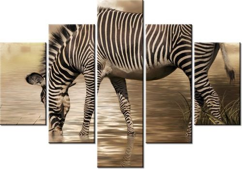 70 100CM OBRAZ 5 ELEM ZEBRA WODOPOJU DRUK PŁÓTNO na Arena.pl