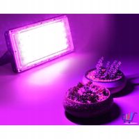 NOWOŚĆ HALOGEN GROW 50 W led DO UPRAWY ROŚLIN W-WA