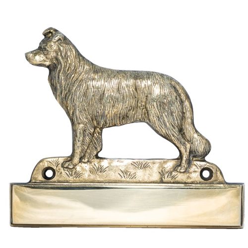 Border Collie - tabliczka - 1699 na Arena.pl