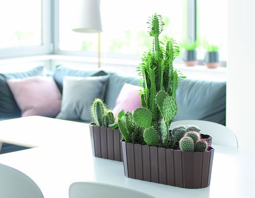 Doniczka podłużna Boardee Case DDEC400 | Brązowy, Kształt Prostokątny, Wymiary 14.4x38.3x13 cm, Kolor Brązowy, Prosperplast na Arena.pl