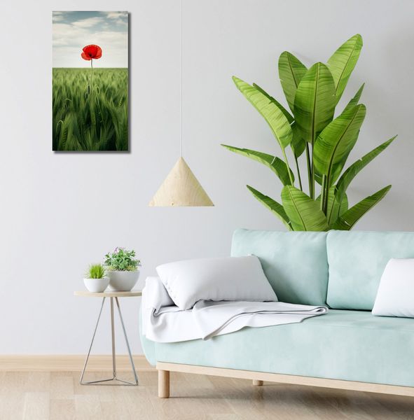 Obraz 30x60cm Samotny Mak na Polu zdjęcie 2