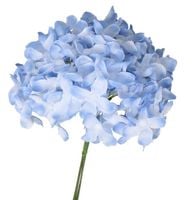 GAŁĄZKI DEKORACYJNE DZIKI BEZ 6SZT OZDOBA