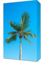 product-compare-59476784