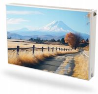 Mata magnetyczna magnes na grzejnik Fototapeta na wymiar GÓRY POLE ŚCIEŻKA