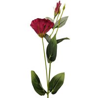 product-compare-61190658