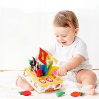 SORTER MONTESSORI EDUKACYJNY MARCHEWKI CHUSTECZKI ZABAWKA SENSORYCZNA 13w1