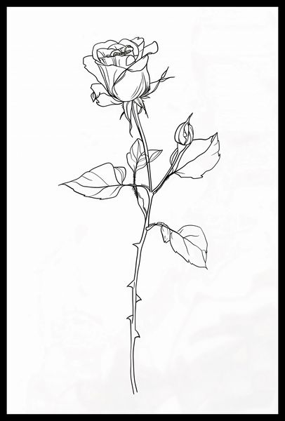 Plakat 40x60cm Kontur Róży zdjęcie 2