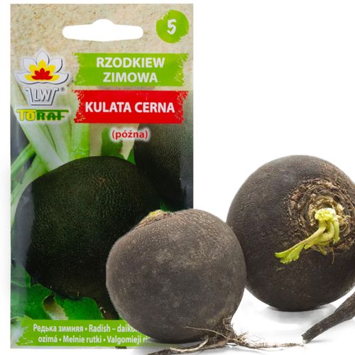 Rzodkiew Czarna Kulata Cerna 5G Nasiona Rzodkwi na Arena.pl