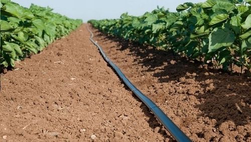 TAŚMA KROPLUJĄCA 1000m 15cm 8mil emiter 1,2l/h na Arena.pl