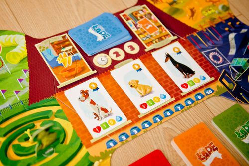 Gra Podaj Łapę na Arena.pl