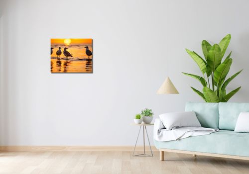 Obraz 50x40cm Mewia Gawęda na Arena.pl