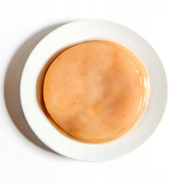 Kombucha, Grzyb Herbaciany 1 szt. zdjęcie 1