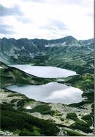 product-compare-58709951